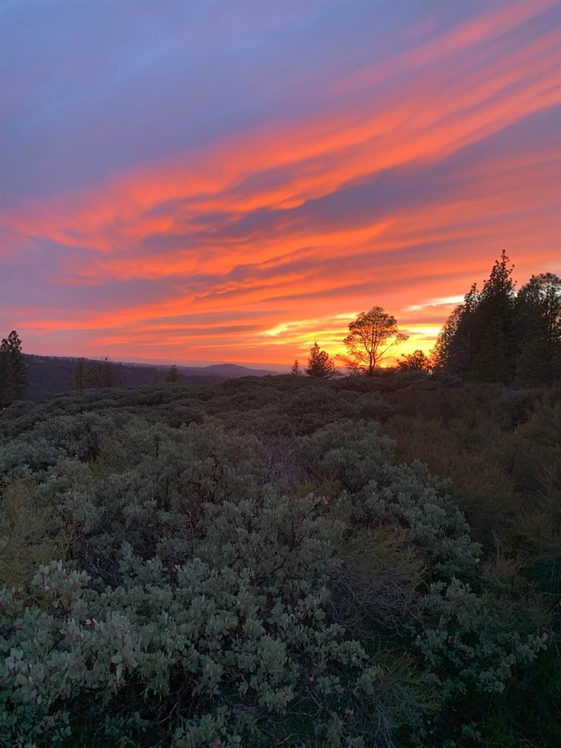 Property Photo: 8131 Grizzly Flat Road CA 95684