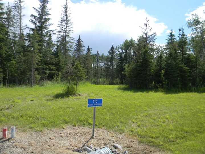 Property Photo: 115 Meadow Ponds Drive AB T4T 1A7