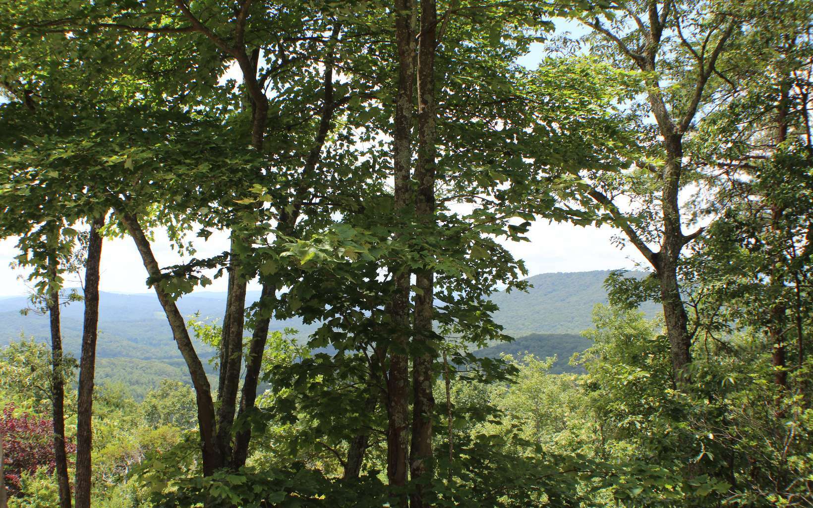 Property Photo:  Lot 9 Owltown Retreat  GA 30536 