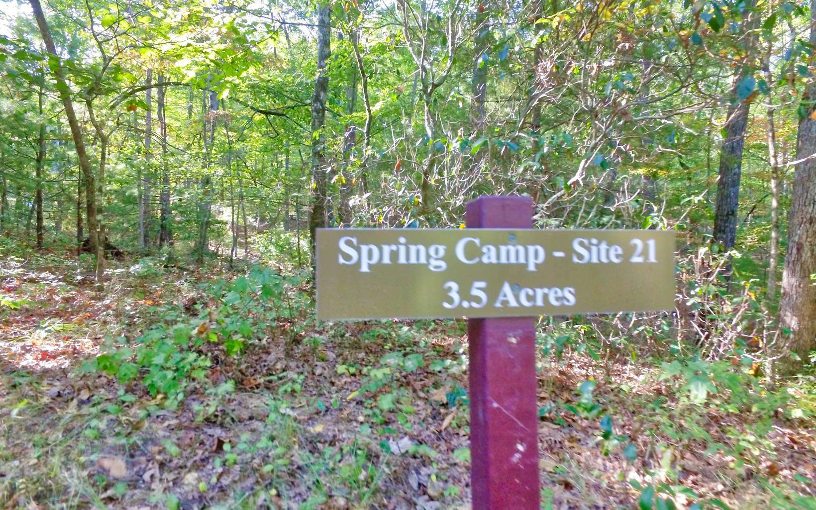 0 Spring Camp Lot 21  Ellijay GA 30536 photo