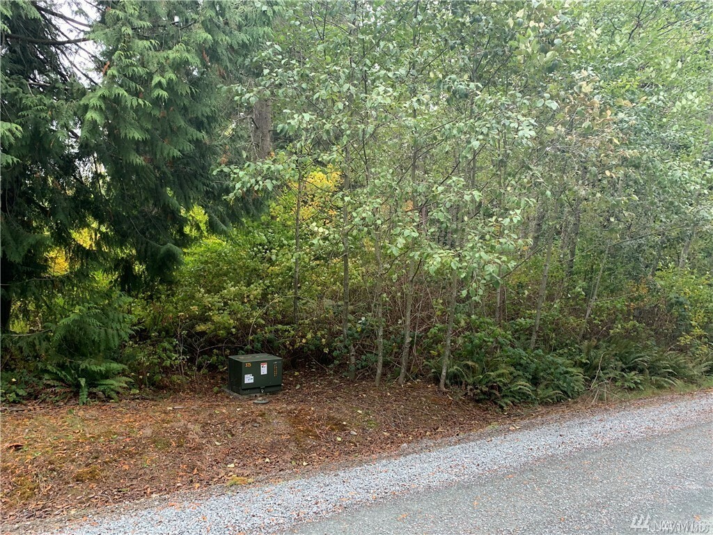 Property Photo:  0 Andal Lane Lane  WA 98274 