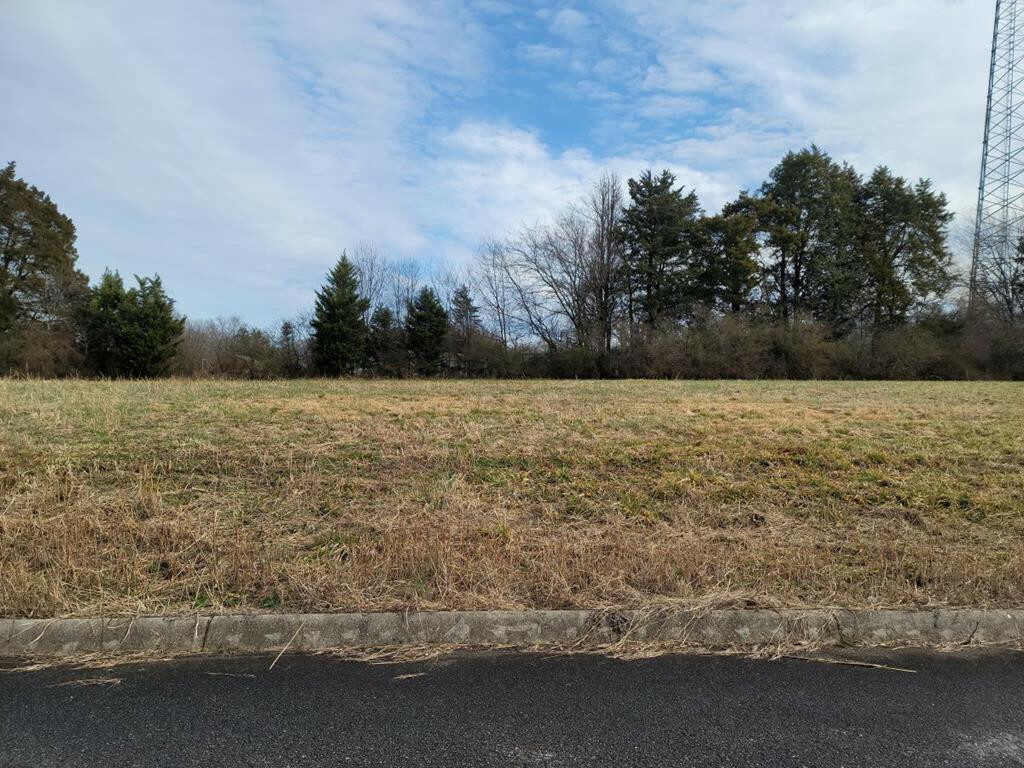 Property Photo: Lot 11 Meadow Lawn Drive TN 37329