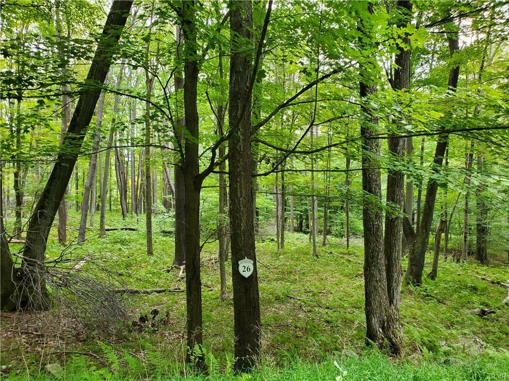 Property Photo:  26 Oak Leaf Lane Lot 26  PA 18347 