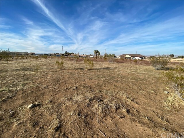 Property Photo:  0 Lot 239 Linden Street  CA 92345 