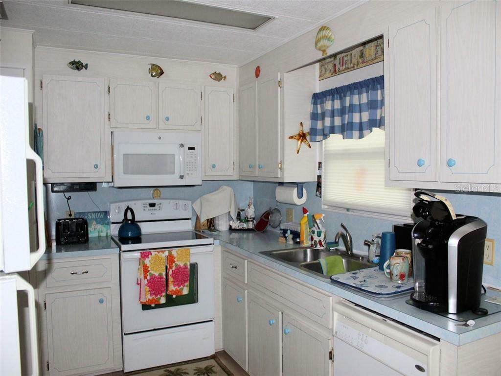 Property Photo:  305 Sago Palm Street  FL 33778 