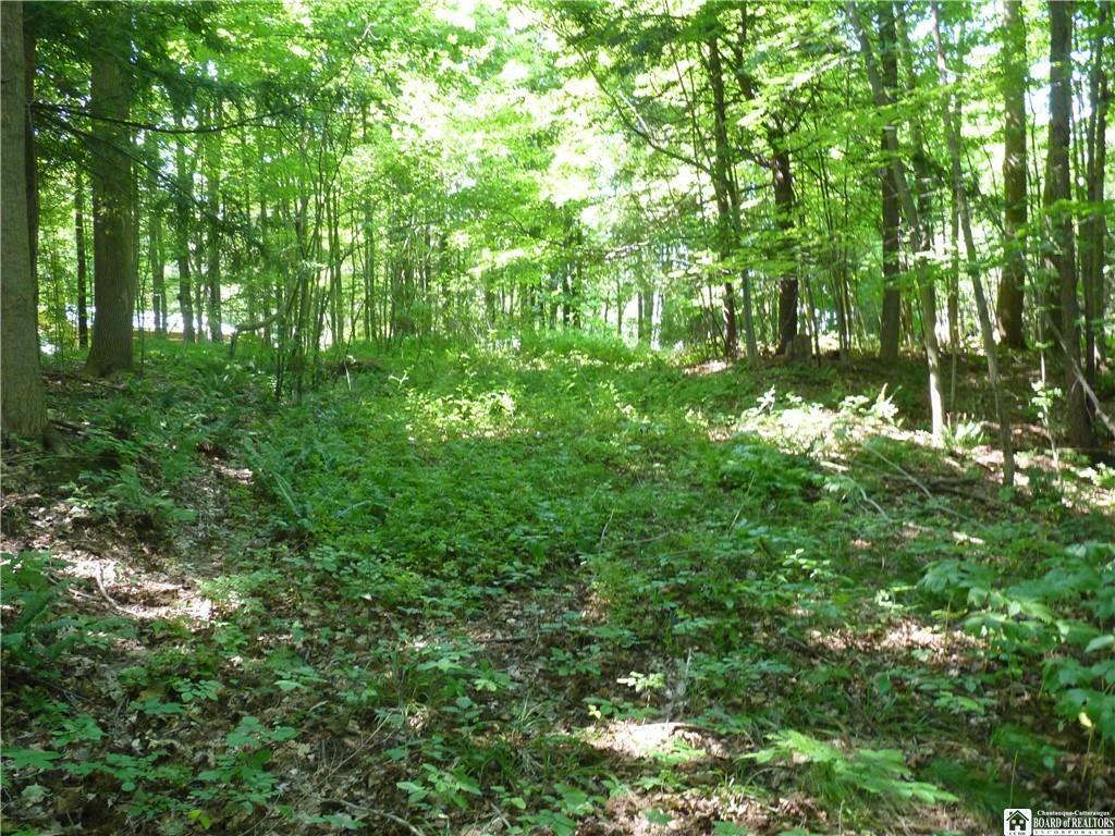 Property Photo: 0 Wells Bay Road W NY 14710
