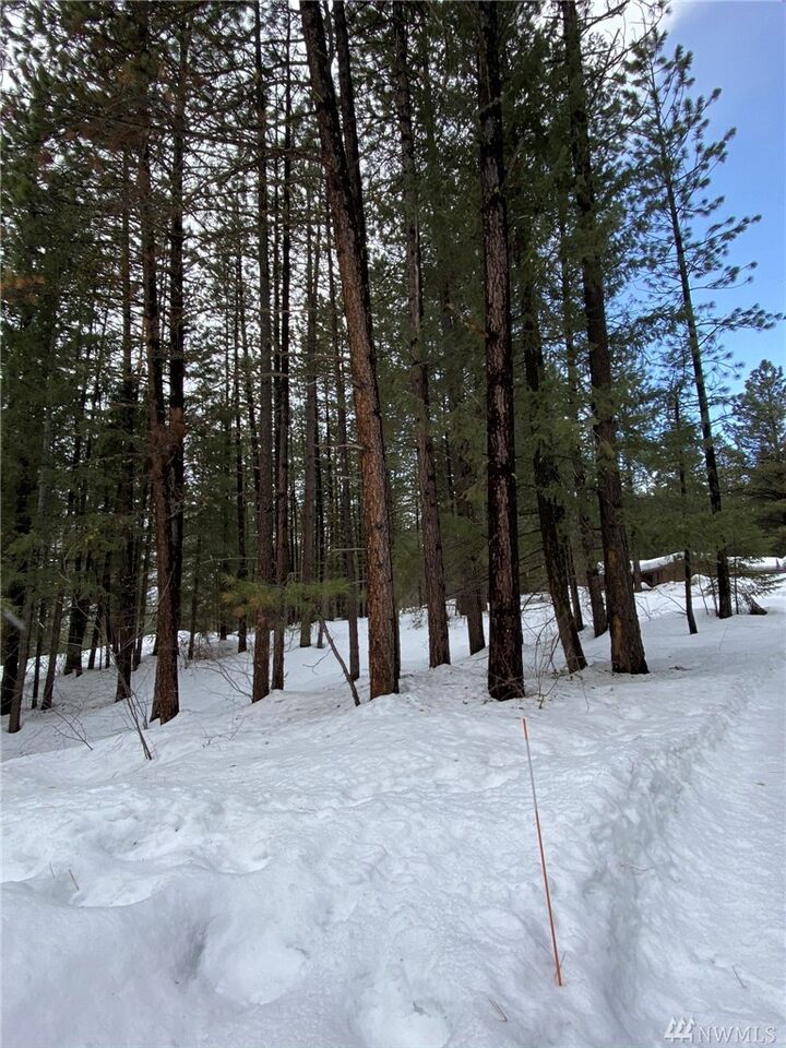 Property Photo:  Xx Rock Rose Rd  WA 98862 