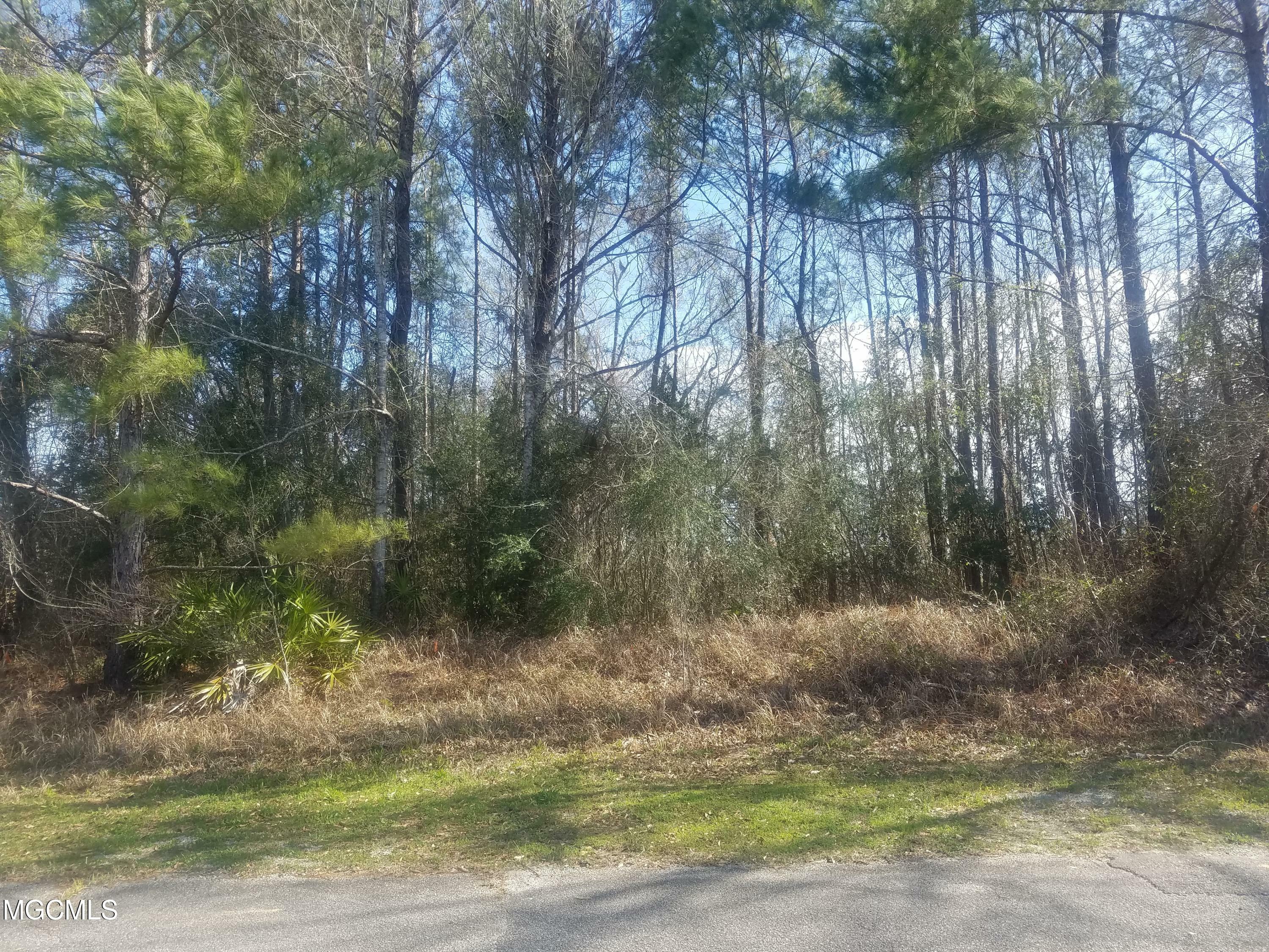 0 W Old River Trail Lot 99  Gulfport MS 39503 photo