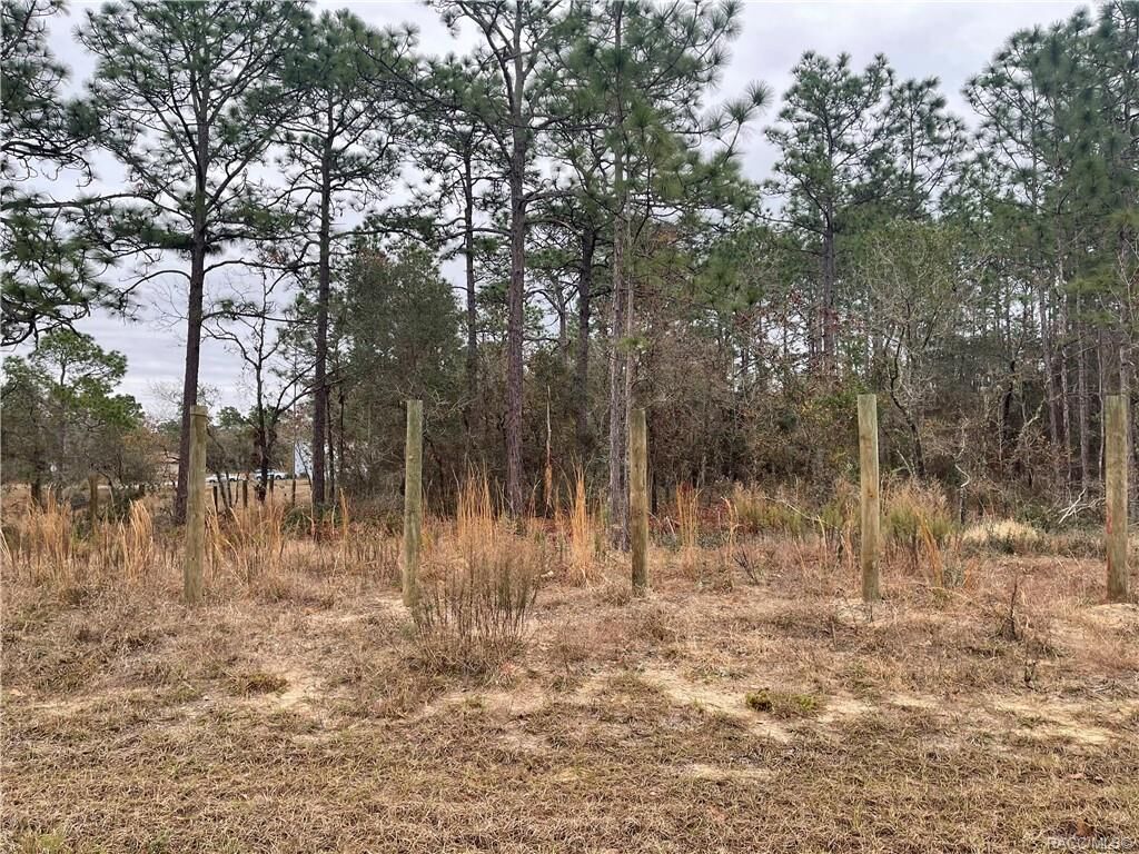 Property Photo: 9721 &Amp 9735 N Lovell Drive FL 34433