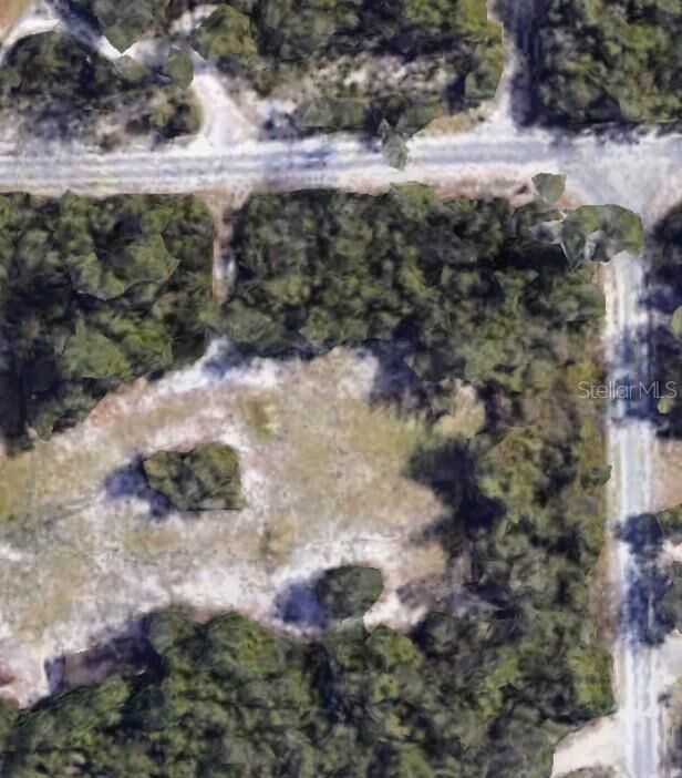 Property Photo: N/A Community Drive FL 32713