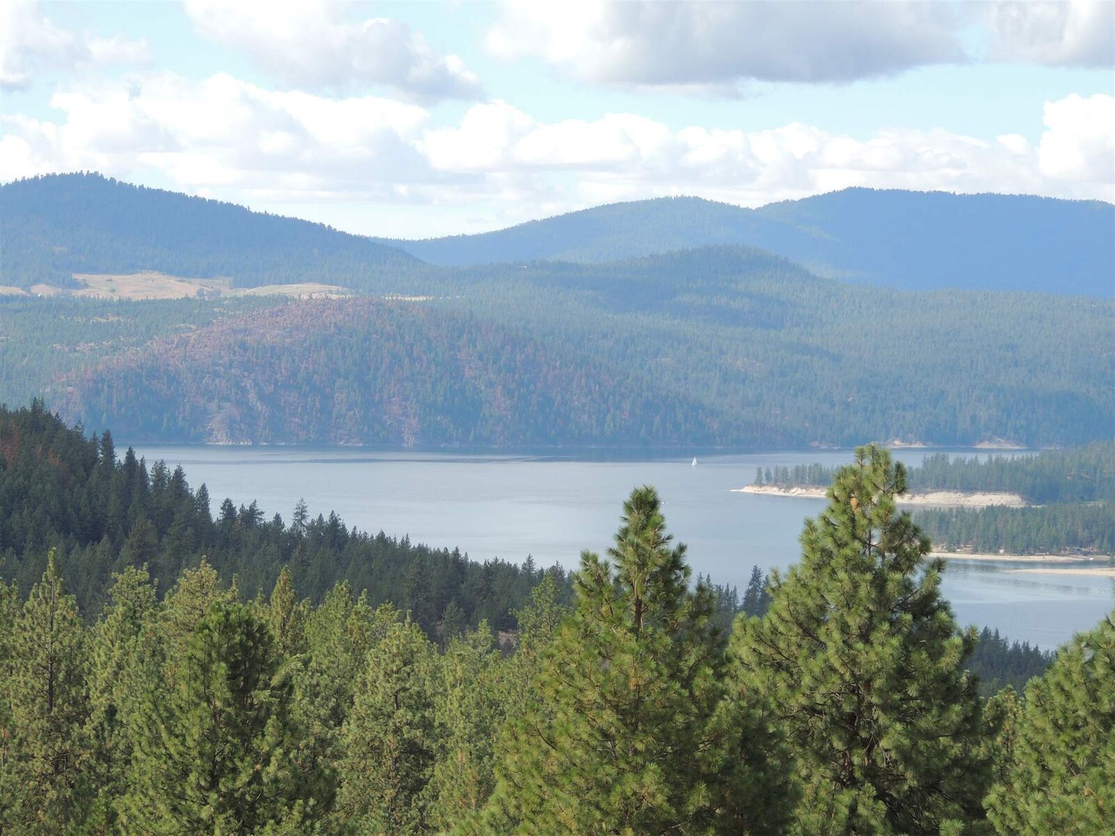 Property Photo: 0000 Hwy 25 S WA 99137