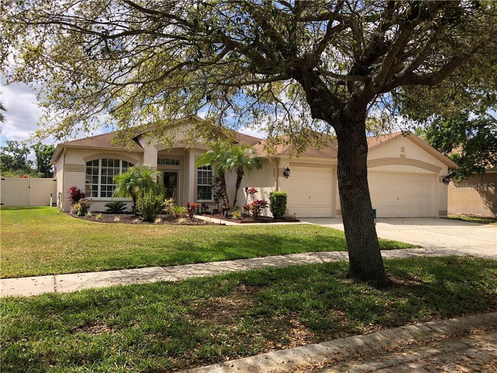 Property Photo:  6719 Brighton Park Drive  FL 33572 