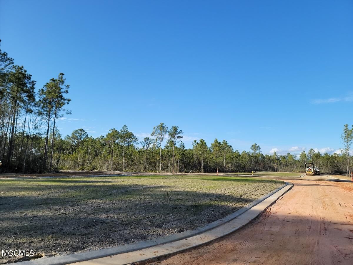 Property Photo: 10846 E Taylor Rd, Lot 22 MS 39503