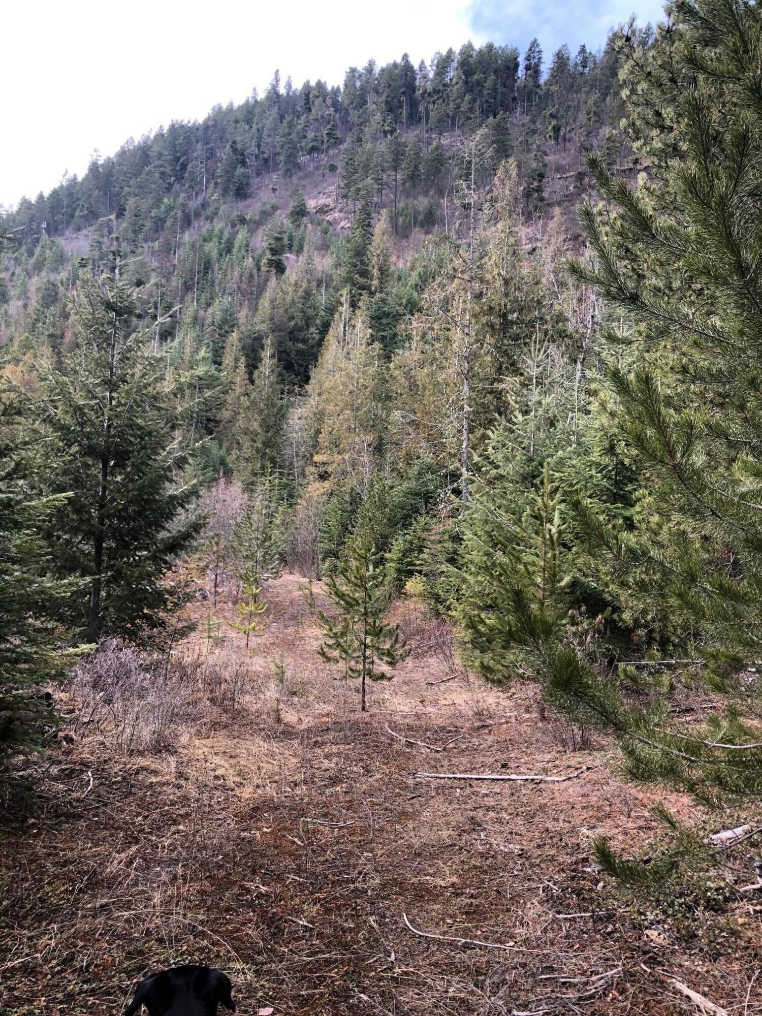 Property Photo:  Xxx Mud Lake Rd  WA 99109 