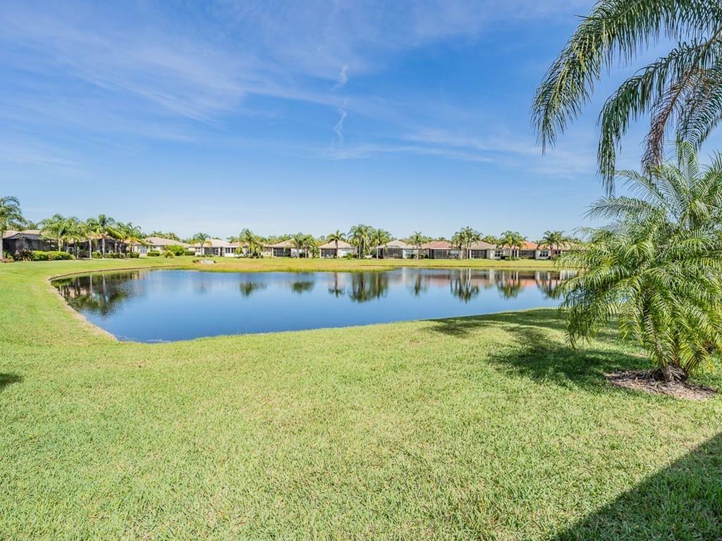 Property Photo:  15789 Crystal Waters Drive  FL 33598 