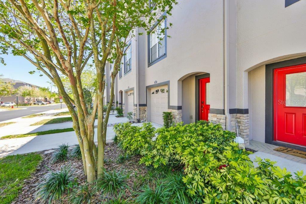 Property Photo:  2512 Middleton Grove Drive  FL 33511 