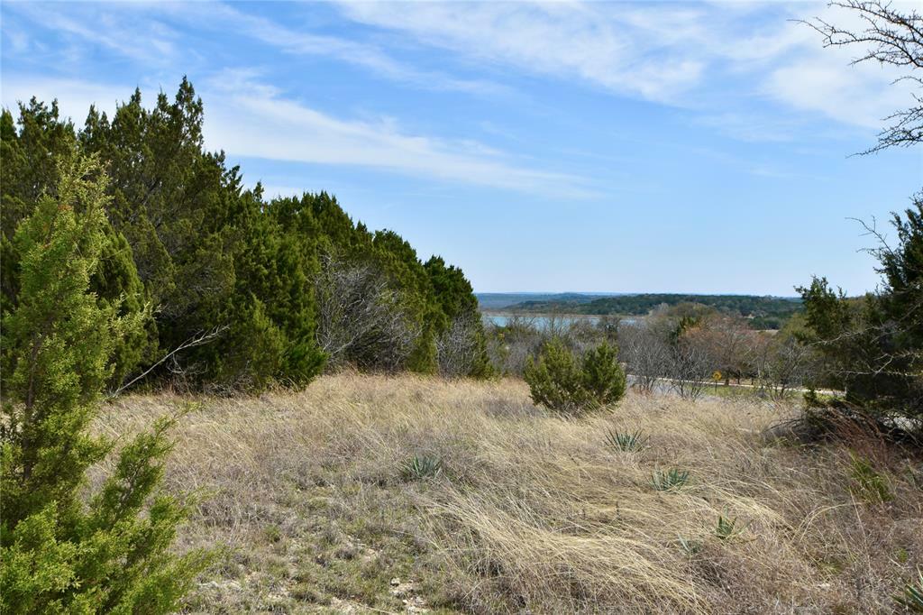 Property Photo:  385 Sunfish Point  TX 76433 