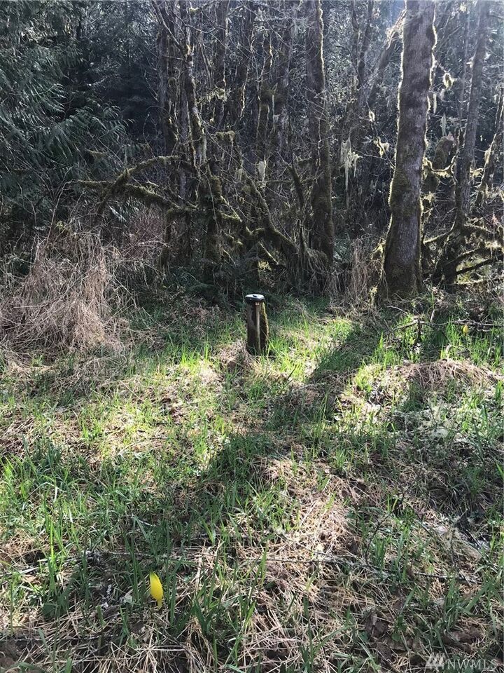 Property Photo: 2904 Little Hanaford Rd WA 98531