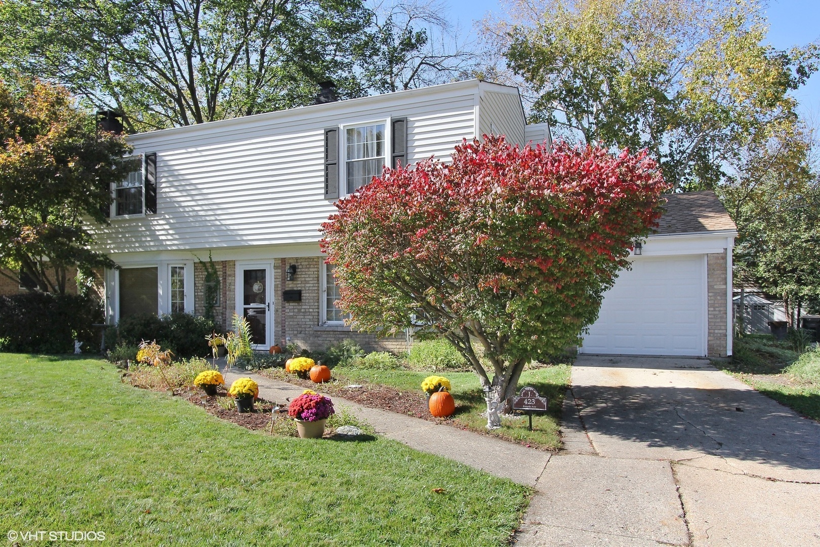Property Photo: 423 S 4th Avenue IL 60048