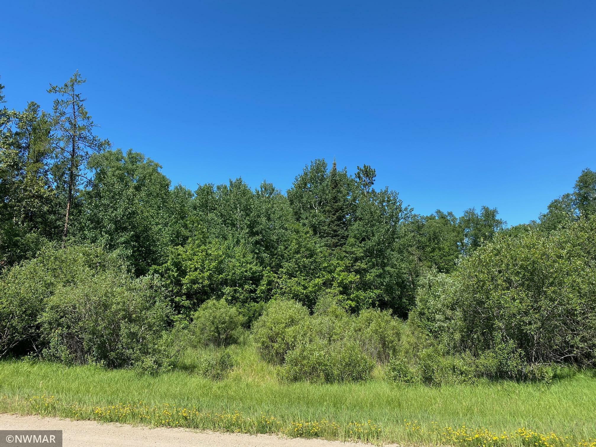 Property Photo:  Tbd (L11,B2) Grant Hills Road SW  MN 56601 