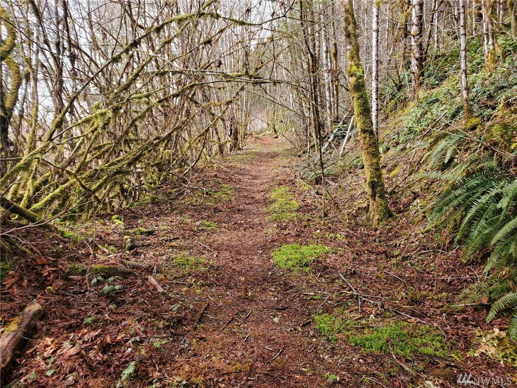 Property Photo: 0 Unknown WA 98548