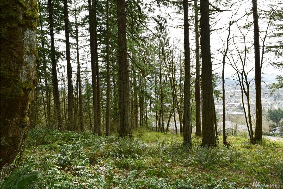 Property Photo:  0 SE Hilltop Dr  WA 98532 