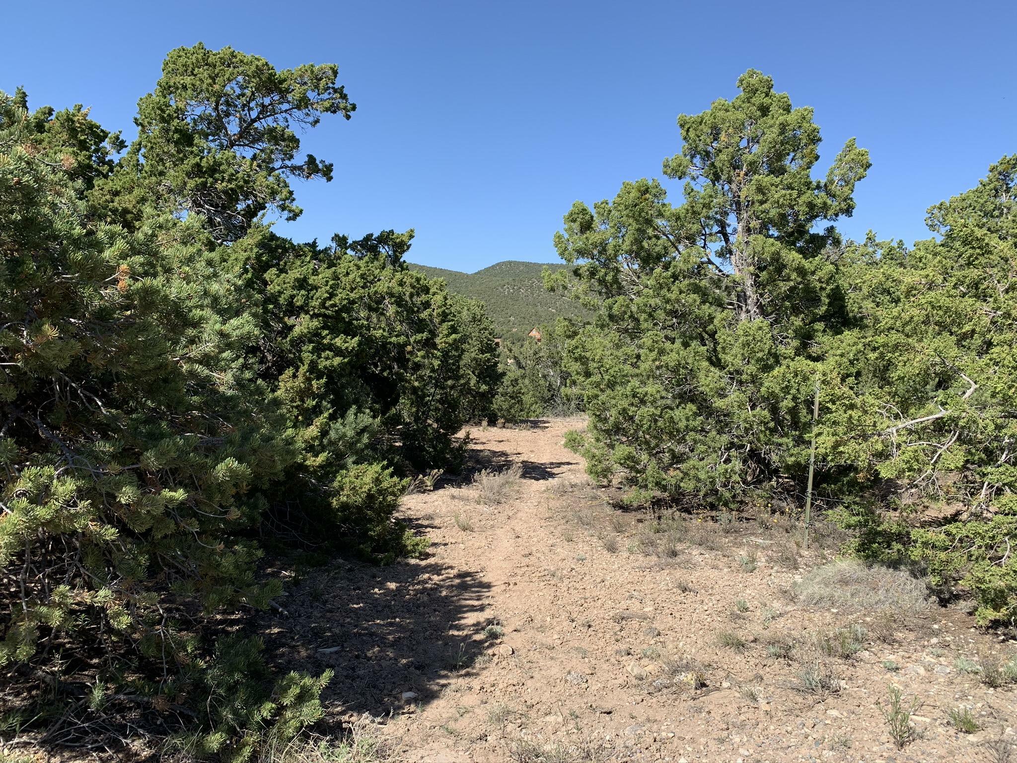 Property Photo:  63 Pinon Heights Road  NM 87047 