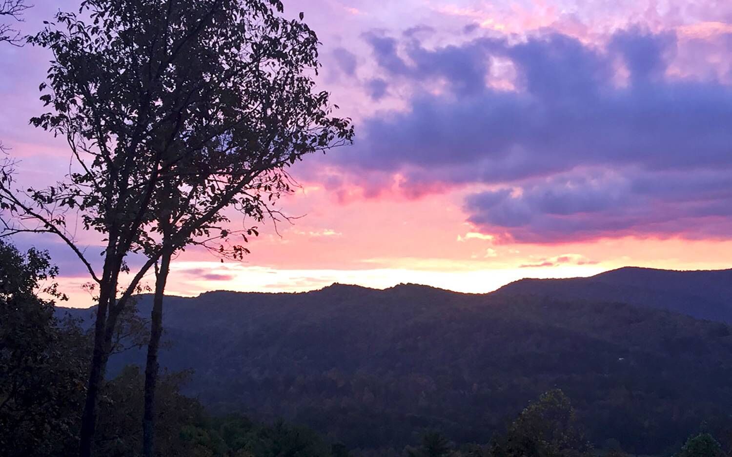 Property Photo: 60 Mountain View Trail GA 30513