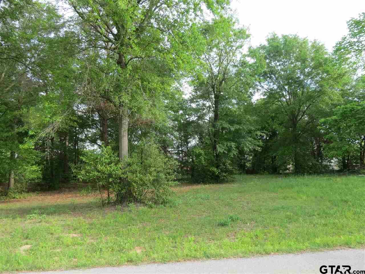 Property Photo:  640 Wells St.  TX 75773 