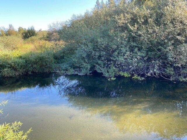 26xxx N River Estates Rd  Chattaroy WA 99003 photo