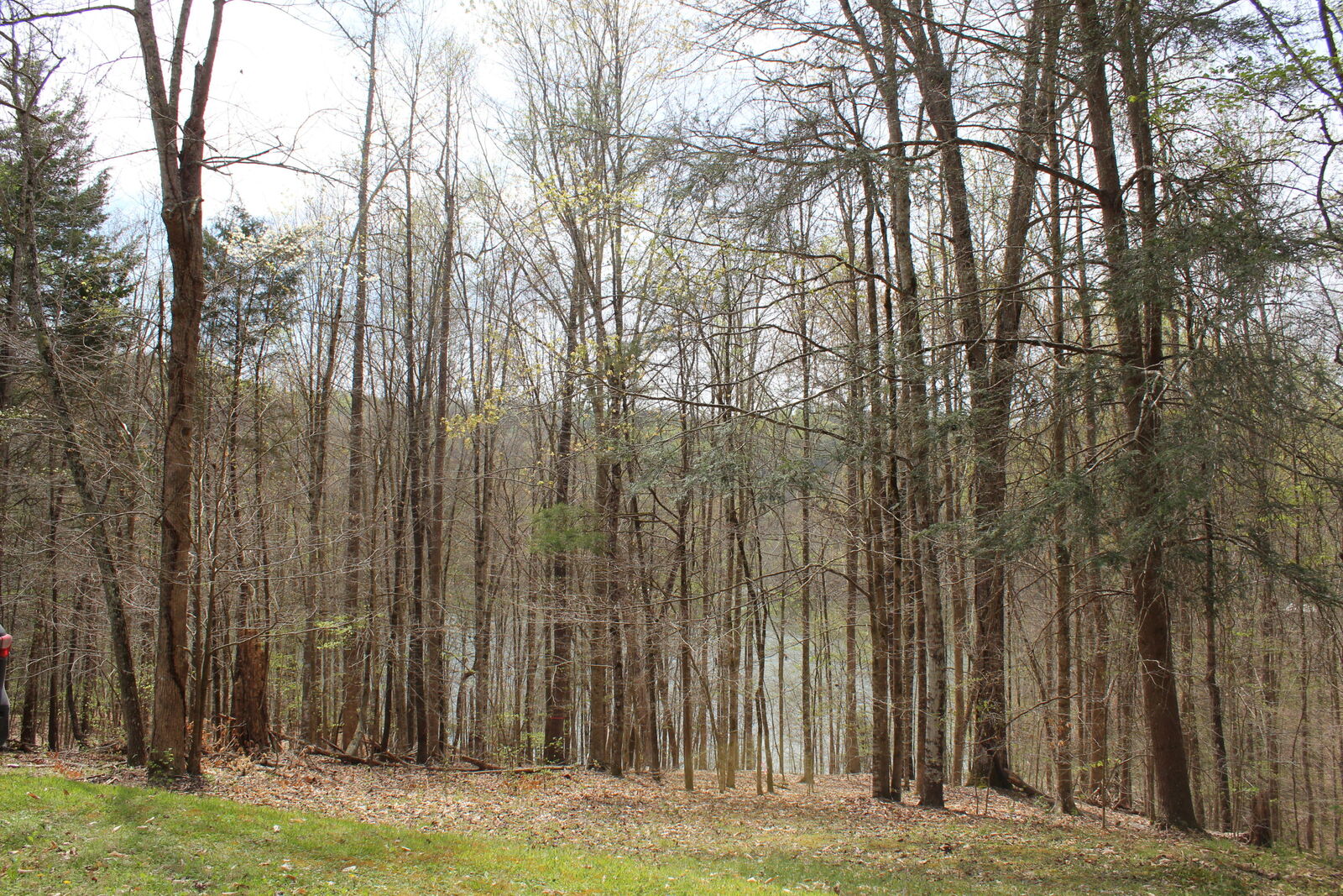 Property Photo: Black Fox Harbor Rd TN 37888