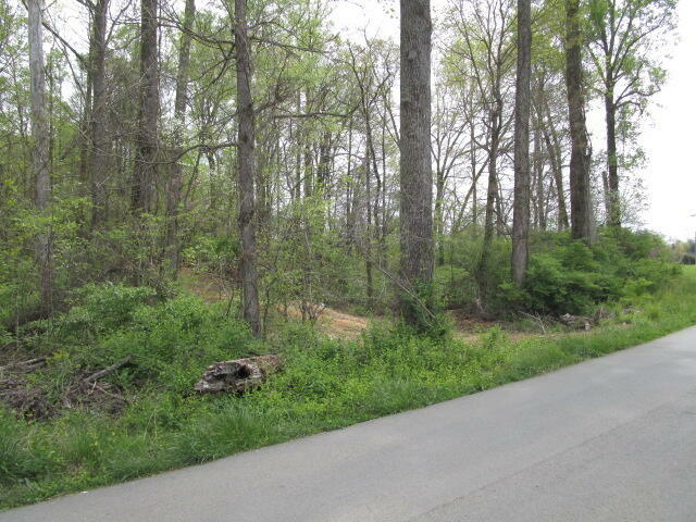 Property Photo:  McBee Mill Rd  TN 37709 