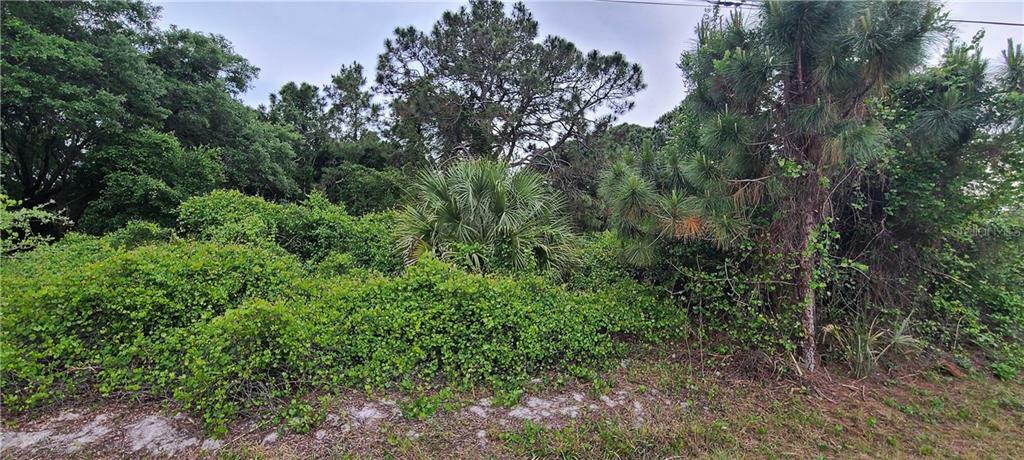 Property Photo:  Dolomite Avenue  FL 34287 