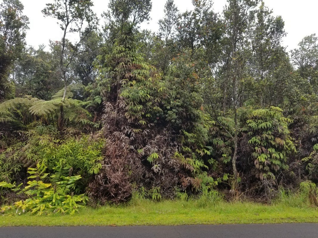Property Photo:  Liona St  HI 96785 
