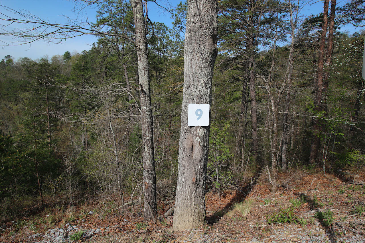 Property Photo:  Lot 9 Summit Trails Dr.  TN 37876 