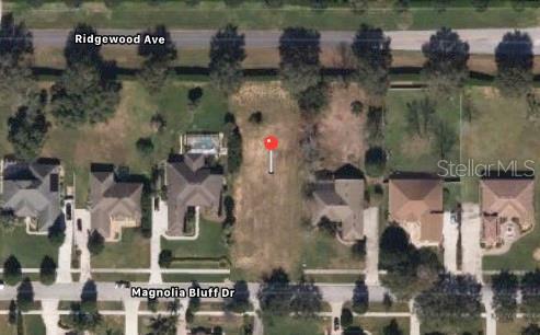 Property Photo:  16337 Magnolia Bluff Drive  FL 34756 