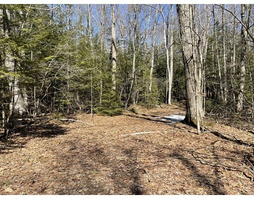 Property Photo: 92 Crooked Ledge Rd MA 01073