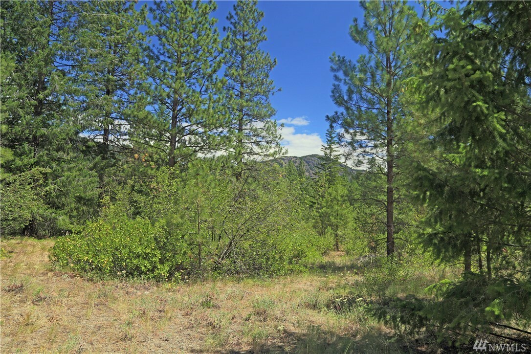 Property Photo:  19 Evergreen Wy  WA 98862 