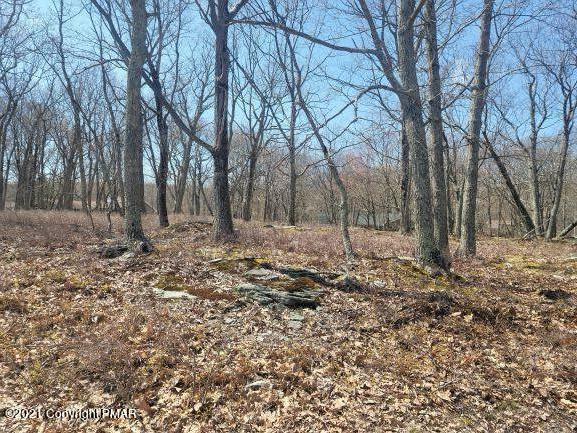 Property Photo:  Beaver Run Road  PA 12864 