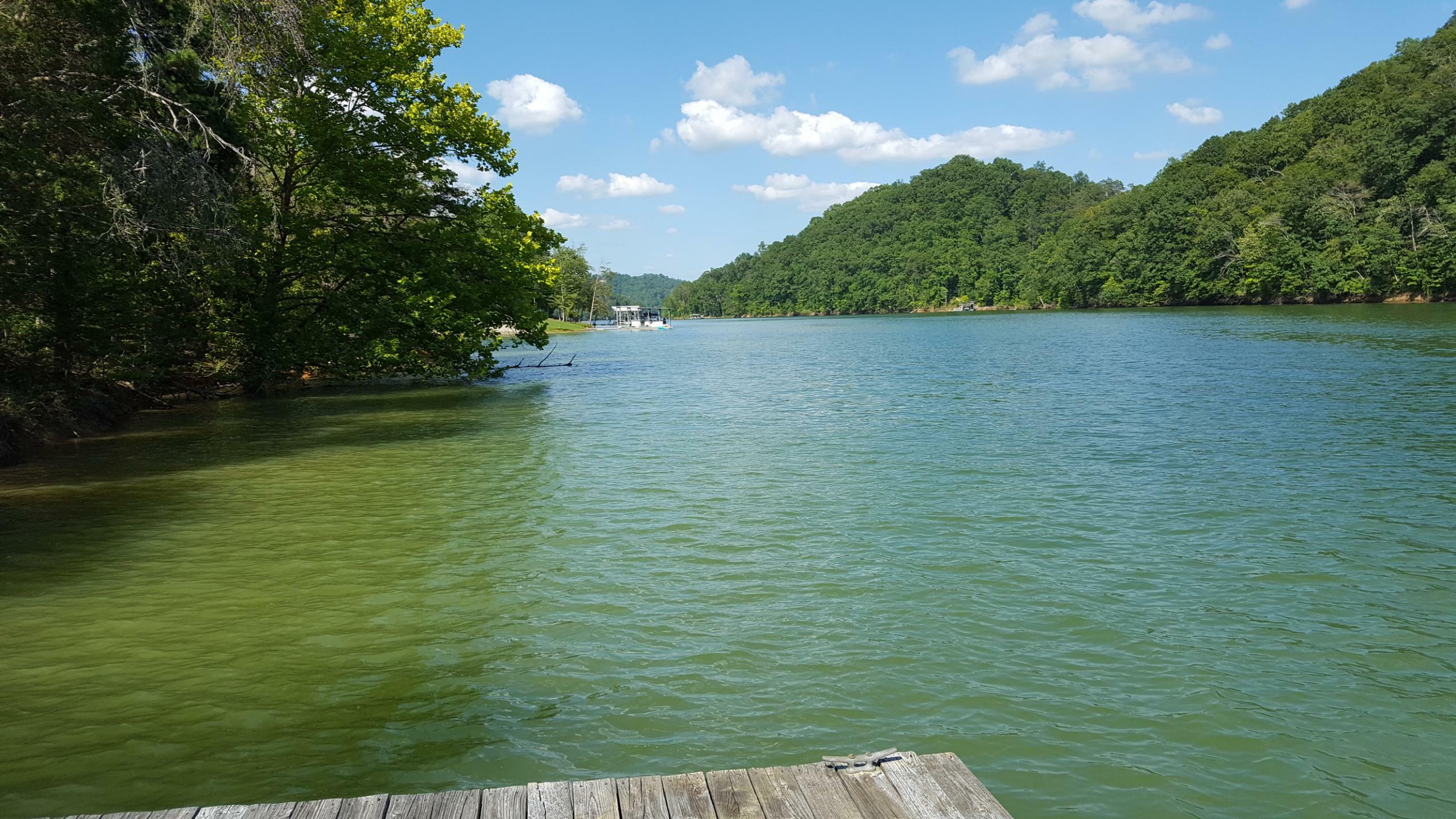 Property Photo:  Black Fox Harbor Rd  TN 37888 