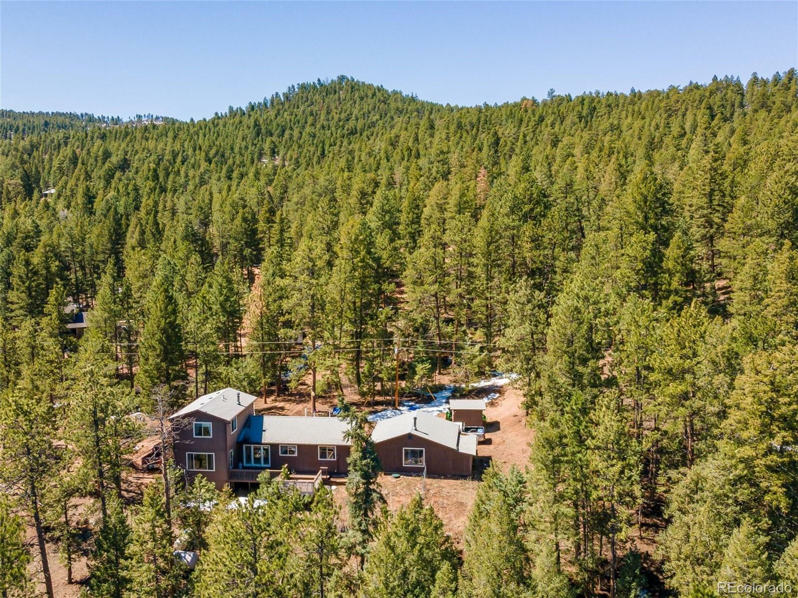 Property Photo:  1339 Cinnamon Bear Road  CO 80135 