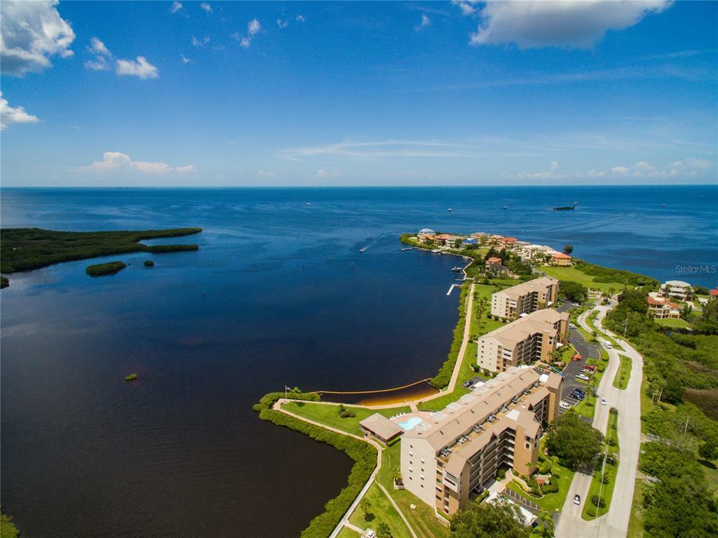 Property Photo: 4620 Bay Boulevard 1113 FL 34668