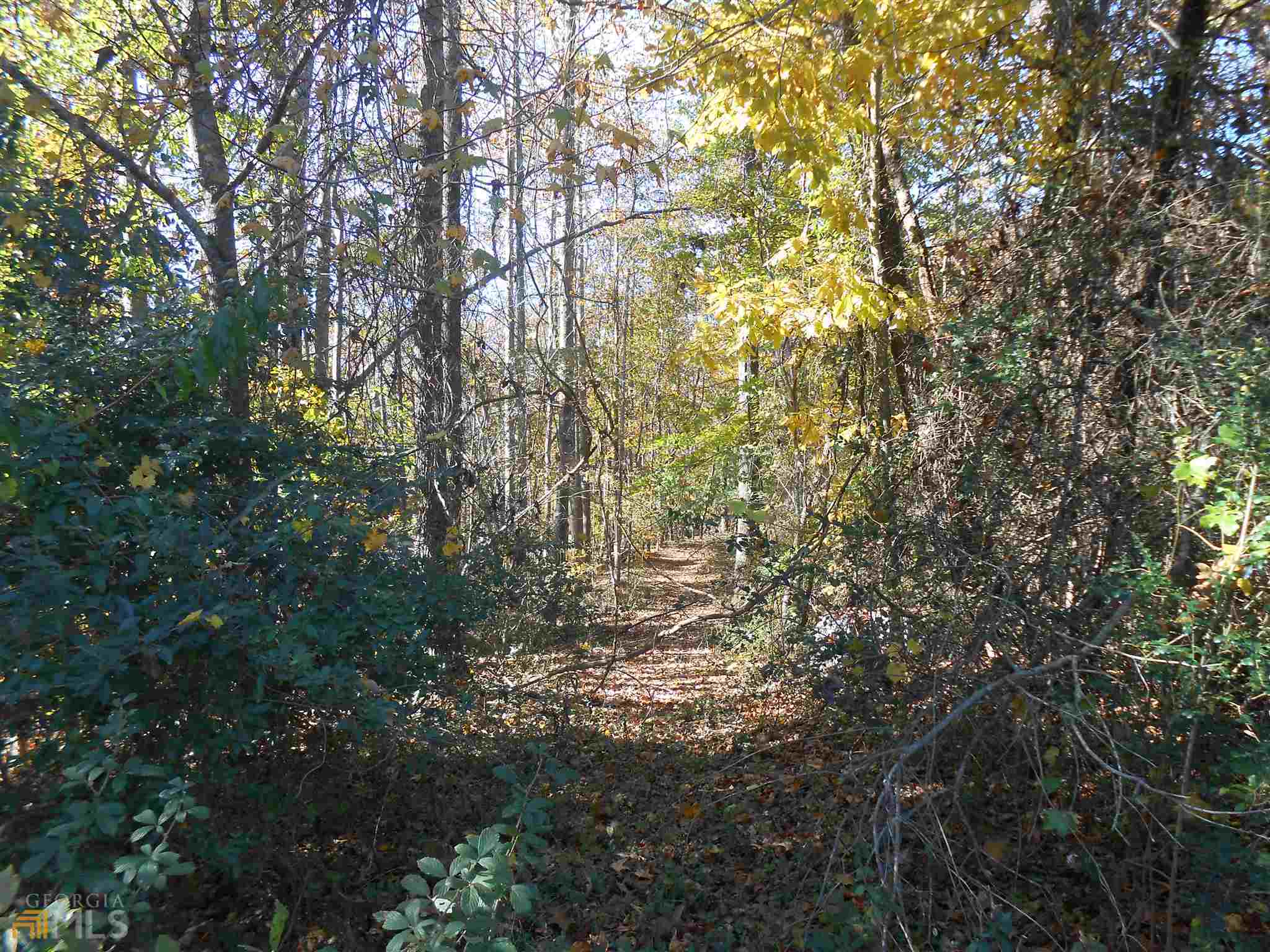 Property Photo:  2290 Highway 441 S  GA 30529 