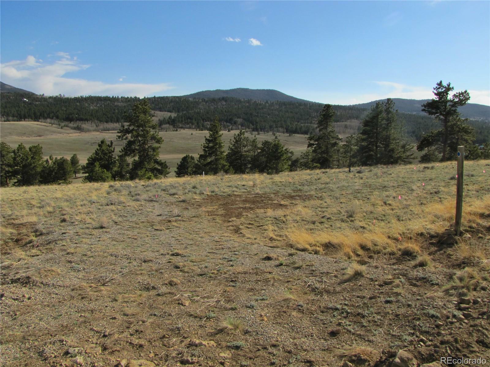 Property Photo:  391 Wagon Wheel Road  CO 80449 