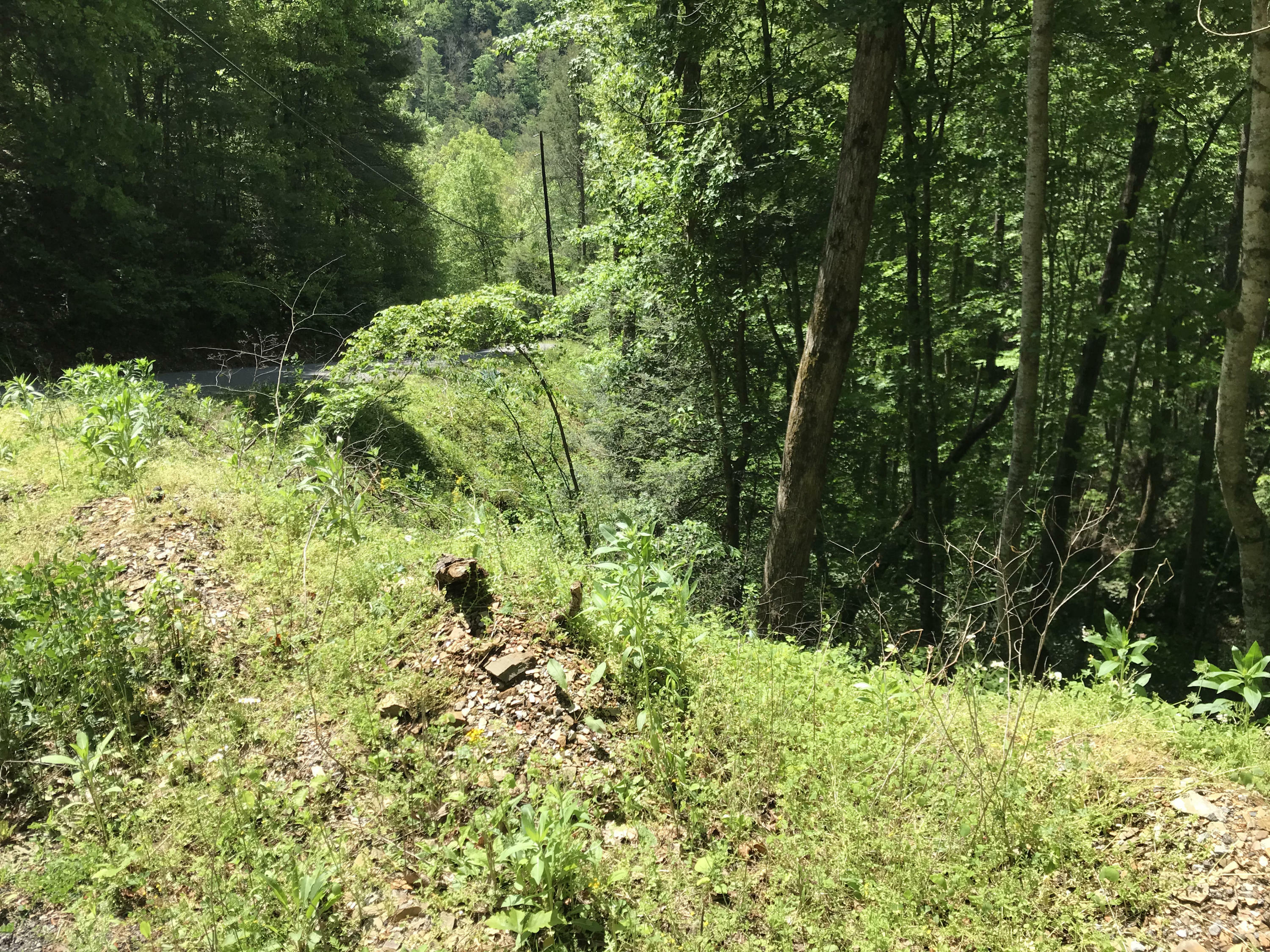 Property Photo:  Black Walnut Flats Rd  TN 37862 