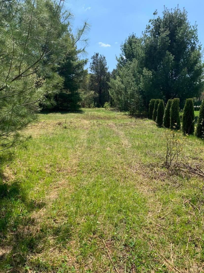 Property Photo:  Holly Lane Lot #13  MI 49735 