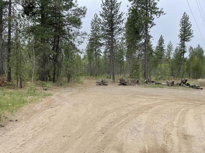 00 N Burroughs Rd Lot D  Deer Park WA 99006 photo