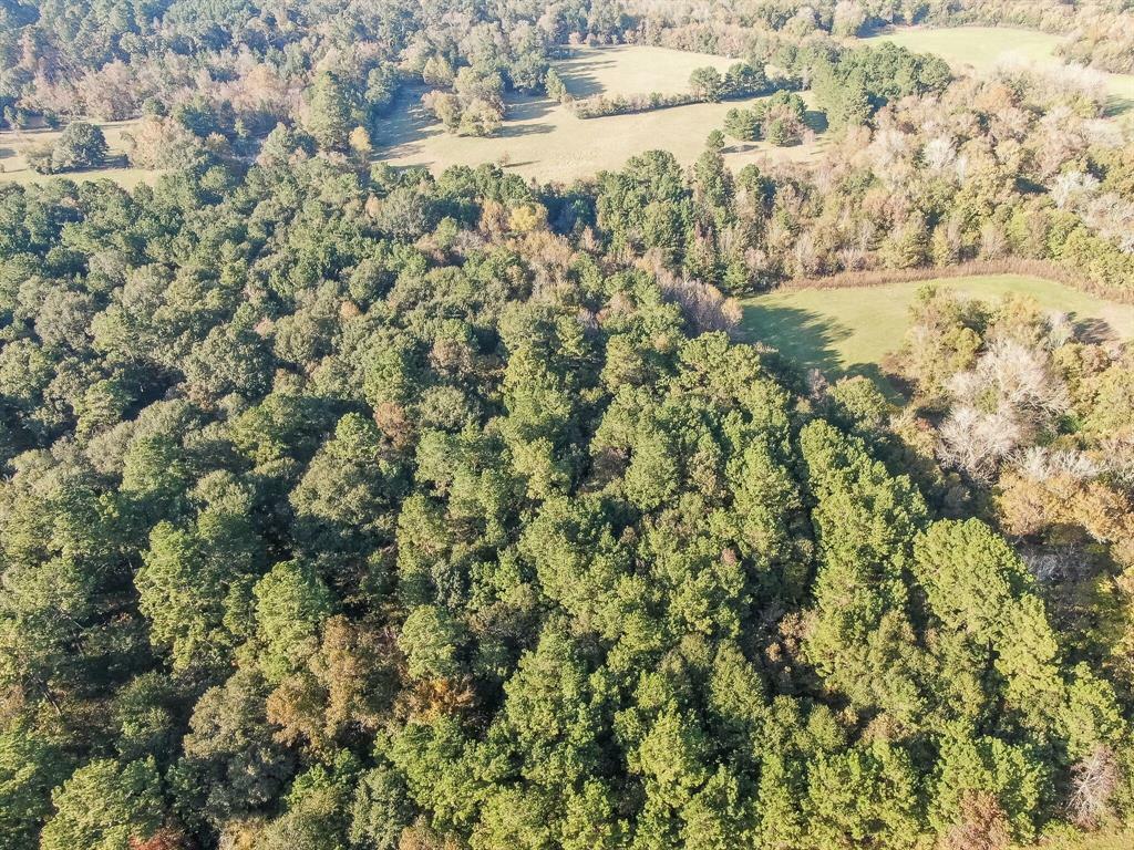 Property Photo: 0 Rajak TX 77328