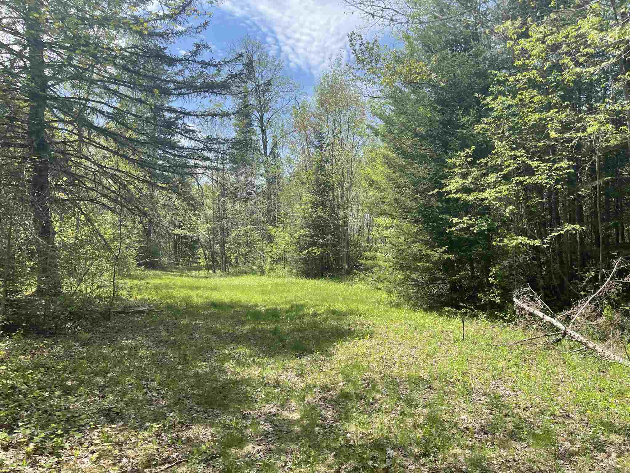 Property Photo:  Lot 2 Brody'S Lane 2  NH 03583 