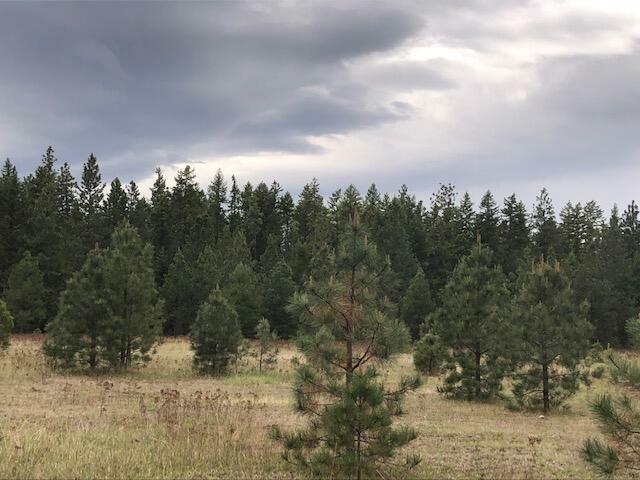 3714 C Sand Creek Rd Lot 2  Kettle Falls WA 99141 photo